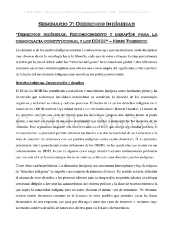 Seminario-7-Derechos-Indigenas.pdf
