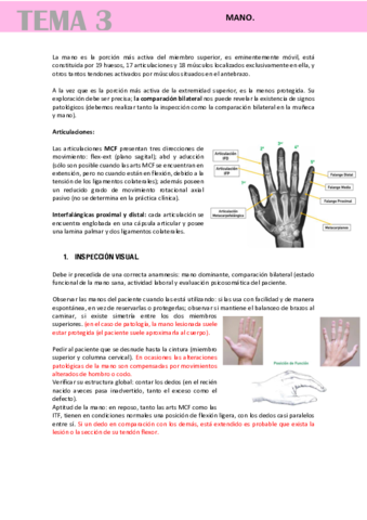 MANO.pdf