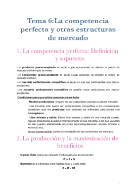 TEMA 6 ECONOMIA.pdf