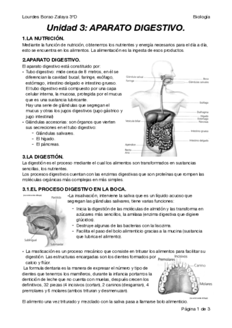 Bio3Unidad3.pdf