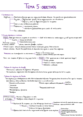 TEMA-5.pdf