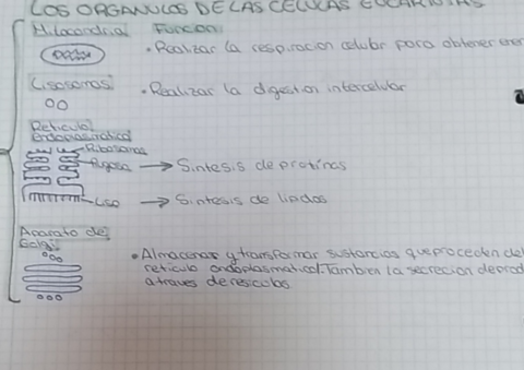 Biologia-T1-Celulas-eucariotas.pdf