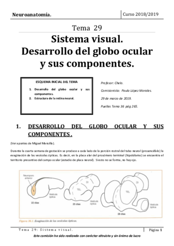 Tema-29.pdf