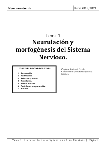 TEMA-1.pdf