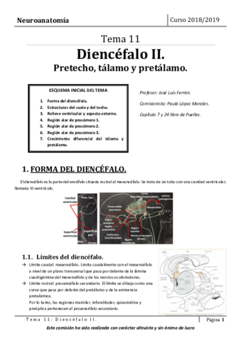 Tema-11.pdf