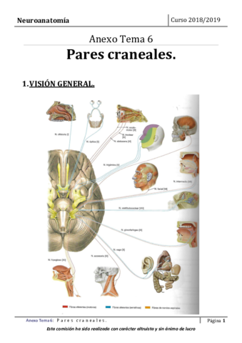 Tema-6-Anexo.pdf