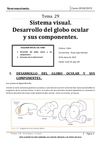 Tema-29.pdf