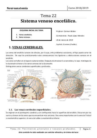 Tema-22.pdf