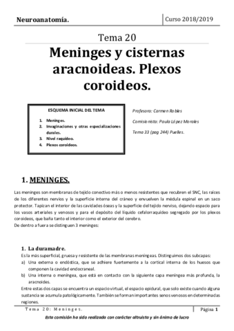 Tema-20.pdf