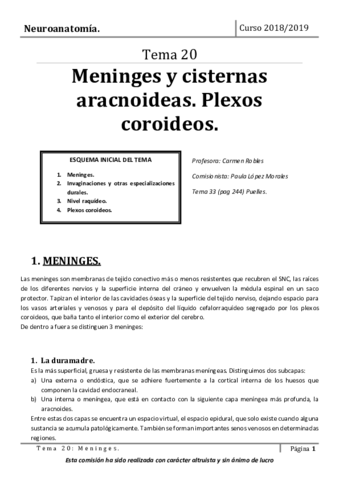 Tema-20.pdf