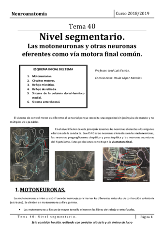 Tema-40.pdf