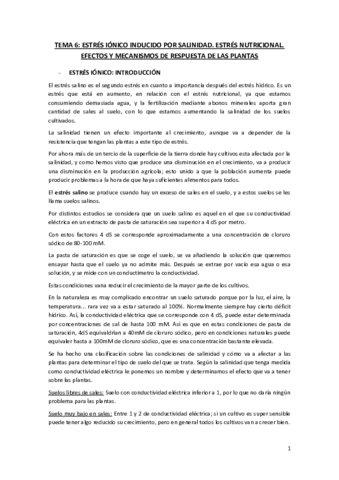 Apuntes-Tema-6.pdf