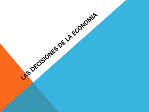 tema-3-LAS-DECISIONES-DE-LA-ECONOMIA.pdf