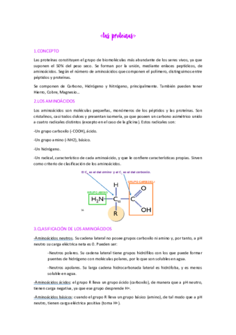 LAS-PROTEINAS-.pdf