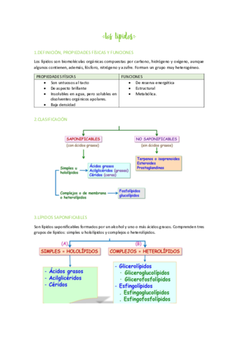 LOS-LIPIDOS.pdf