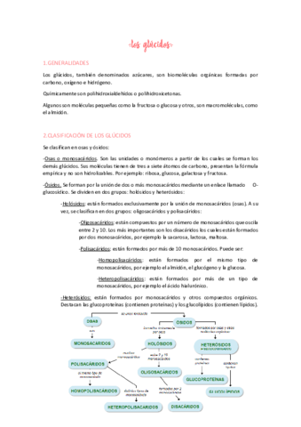 LOS-GLUCIDOS.pdf