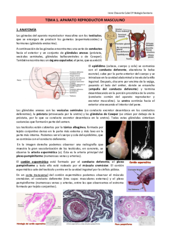 TEMA-1.pdf