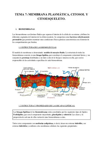 TEMA-7-MEMBRANA-PLASMATICA-CITOSOL-Y-CITOESQUELETO.pdf