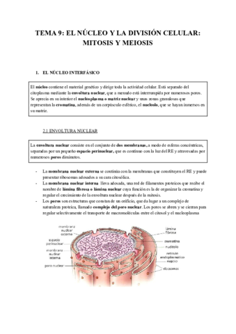TEMA-9-NUCLEO-Y-DIVISION-CELUAR.pdf