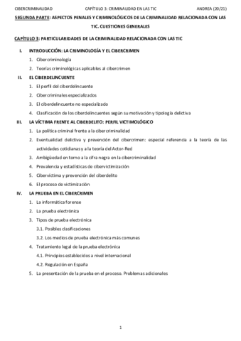 TEMA-3CIBERCRIMINALIDADANDREA.pdf