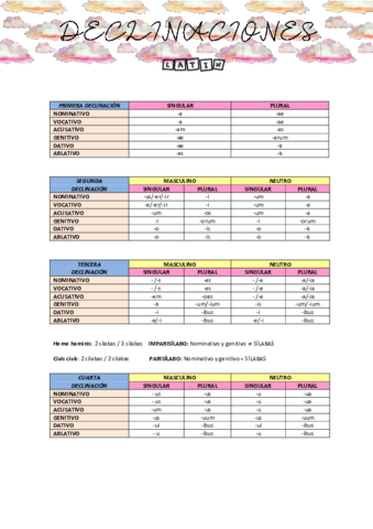 DECLINACIONES.pdf