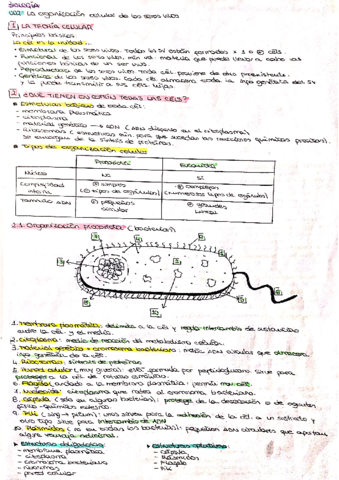UNIDAD-2-BIOLOGIA.pdf