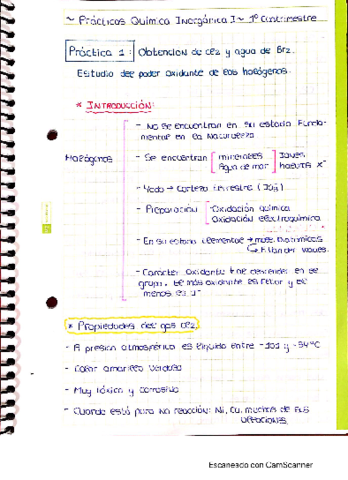 Cuaderno-practicas-1cuatrinestre-inorgan.pdf