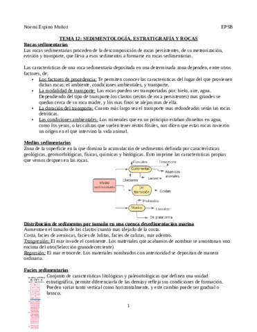 Resumen-tema-12.pdf