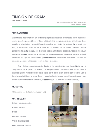 3 tinción de gram
