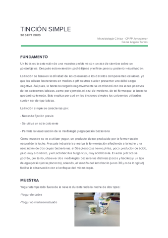 2 tinción simple