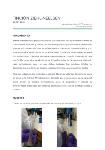 4 tinción de ziehl-neelsen