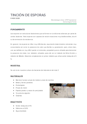 5 tinción de esporas