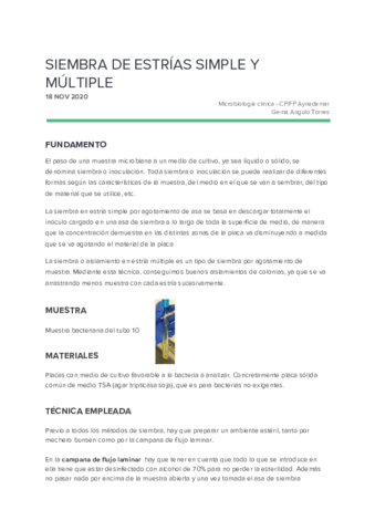 9 siembras en estría