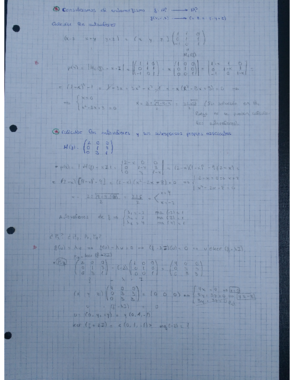 Tema 2. Diagonalización de endomorfismos.pdf