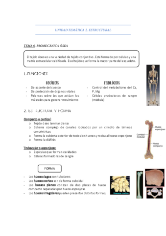 APUNTES-UNIDAD-TEMATICA-2.pdf