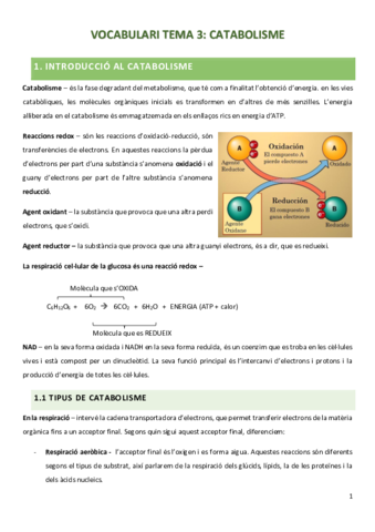 VOCABULARI-catabolisme.pdf