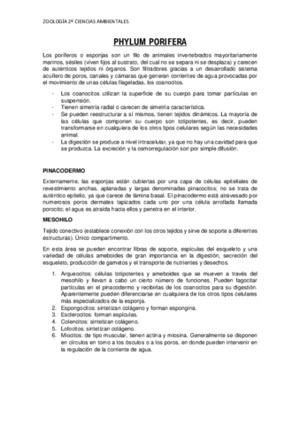 Invertebrados-zoologia.pdf