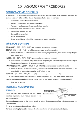 Tema-10-Odontologia-en-lagomorfos-y-roedores.pdf