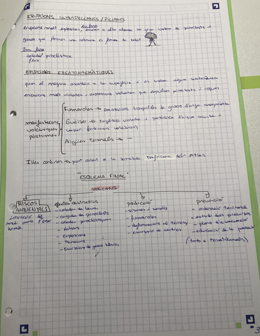 IMG-5247.jpg
