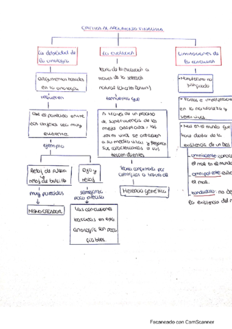 Critica-argumento-finalista.pdf