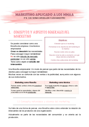 Marketing-aplicado-a-los-MMAA.pdf
