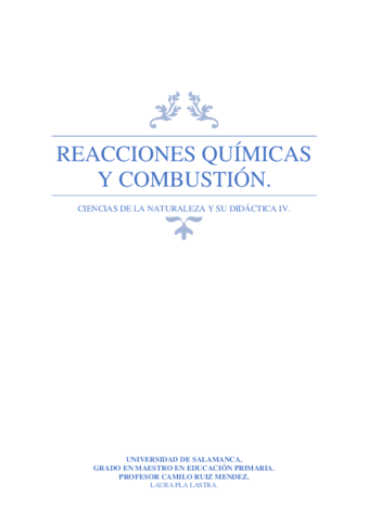 REACCIONES-QUIMICAS-Y-COMBUSTION.pdf