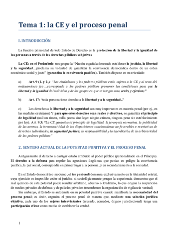 Temario Procesal.pdf