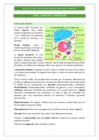 TEMA-1.pdf