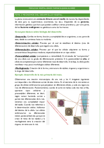 TEMA-2-Y-3.pdf