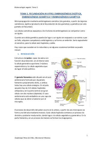TEMA-5-BIOTECNOLOGIA-VEGETAL.pdf