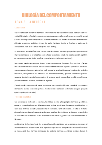 BDCTEMA-3LA-NEURONA.pdf