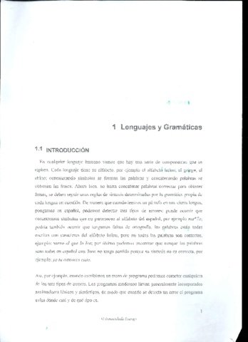 Tema 1 de Matemáticas Computacionales.pdf