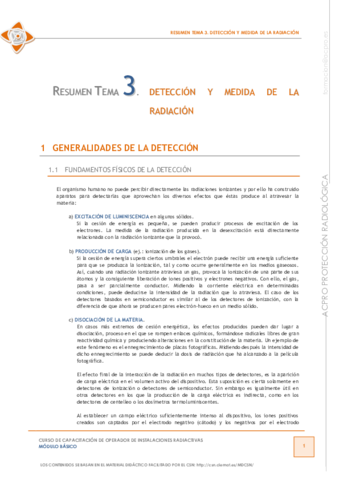 3290resumenT3.pdf