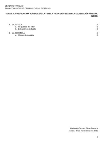 TEMA-5.pdf